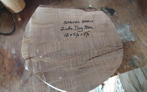 Spalted beech bowl blank wood - beech,