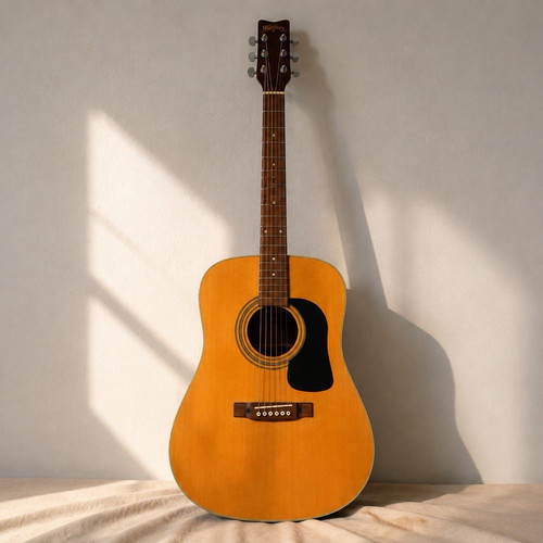 Washburn 10i dreadnought - washburn, d-10i