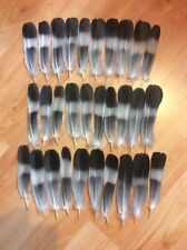 30 pigeon tail feathers