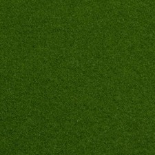 Light Green Outdoor Carpet