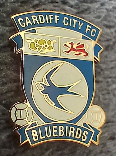 Cardiff city football club - city,