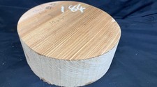 A Grade dry 10" x 4" olive