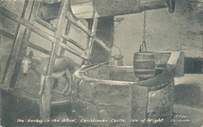 Carisbrooke castle donkey in the wheel