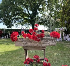 Cotswold Studios Ltd Garden Trough Planter 80cm long