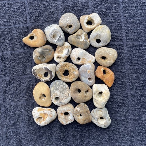 Twenty natural hag stones - hag,