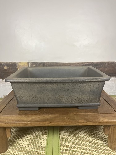 Aiba koyo bonsai - bonsai, pot