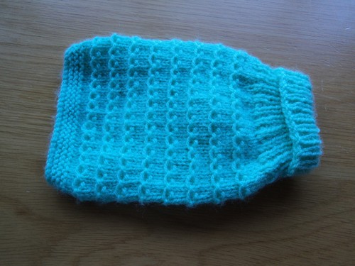 Hand knitted dog cat puppy - hand,