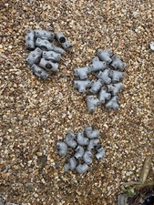 38mm Key Clamp Fittings