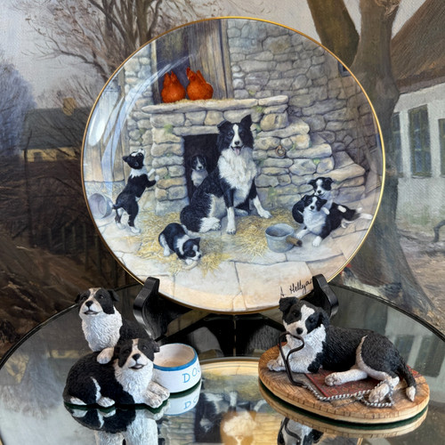 Border fine arts collie - fine,