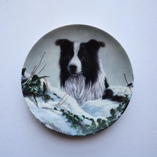 Border Collie Dog Plate Series