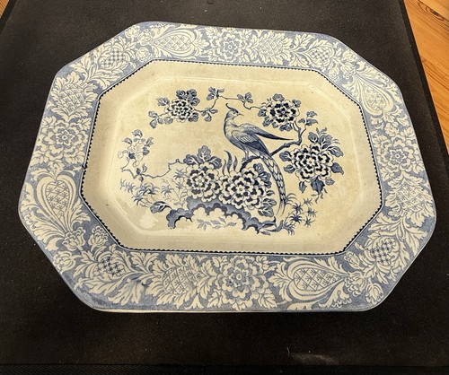 Adams tunstall chinese - tunstall,