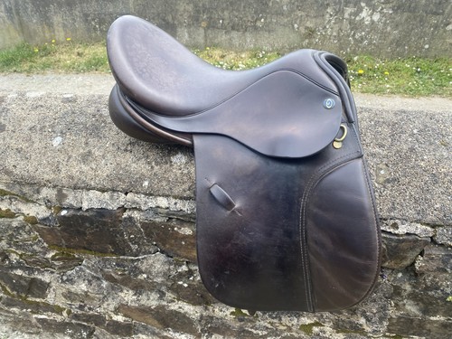 Ideal english leather pony - english,