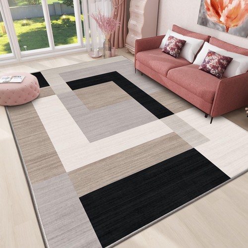 Large living room - living, rugs