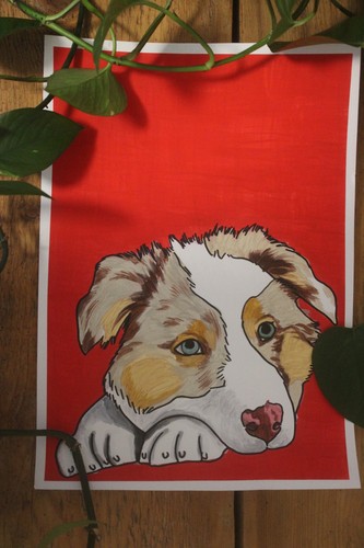 Australian shepherd puppy - shepherd,