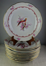 Eleven Eichwald Exotic Bird