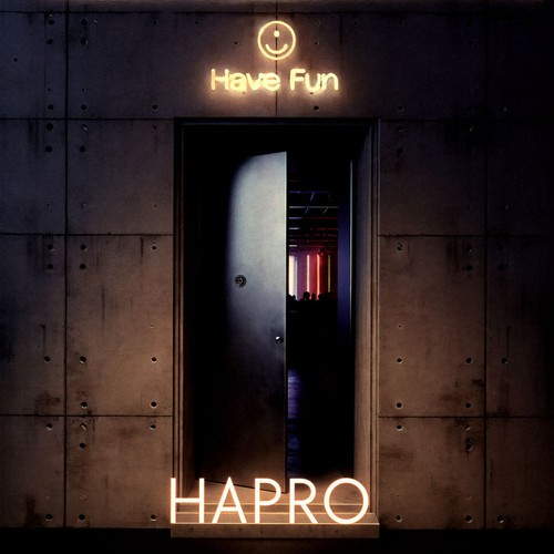 Hapro have fun vinyl 12 - hapro,