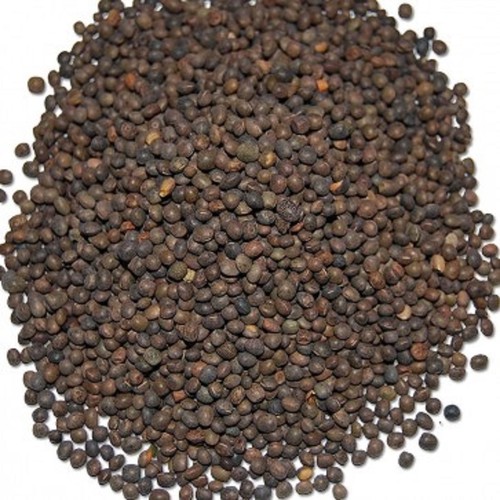 Tares wild bird food - tares,