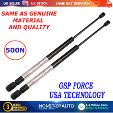 2X REAR TAILGATE GAS STRUTS