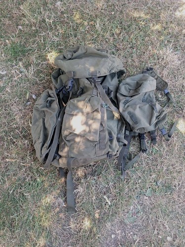 Olive green plce - green, back