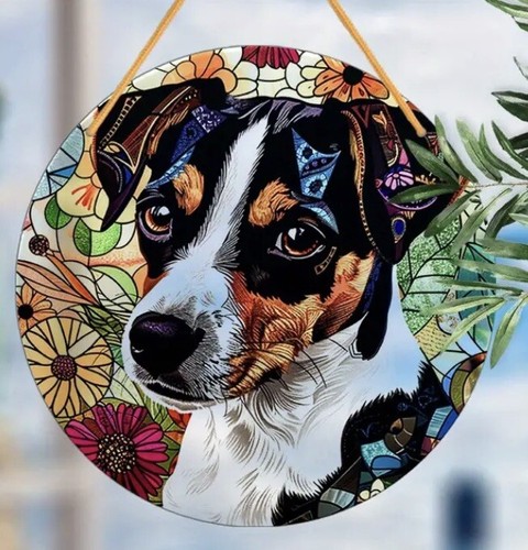 Jack russell terrier - jack, lover