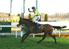 Kauto star horse racing - horse,