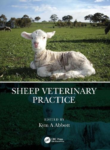 Sheep veterinary practice - practice, by