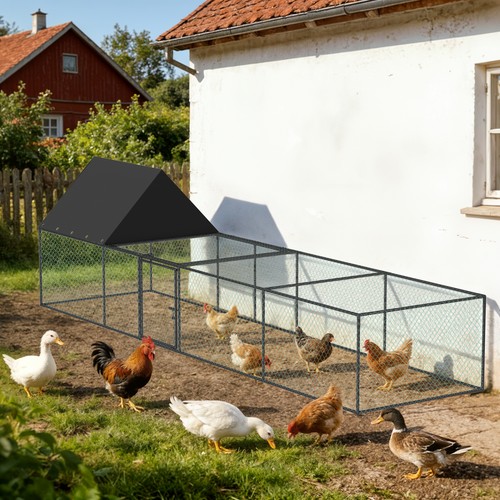 Extra long metal chicken - long,