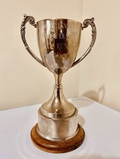 Big silver trophy 9 - silver, 9”