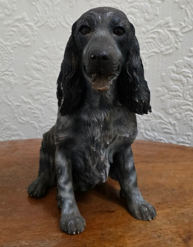Heavy black cocker spaniel - black,