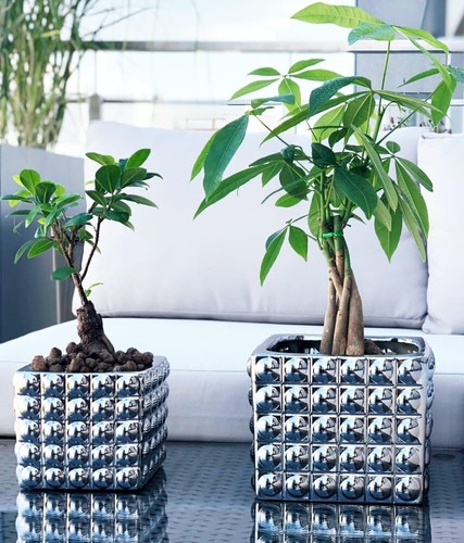 Flower pot home decor vase - flower,