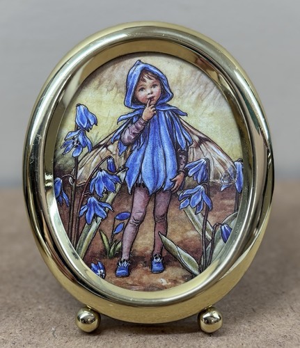 The scilla fairy cicely mary - cicely,