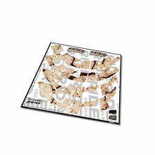 Zipp 808 Firecrest 2022 Fork