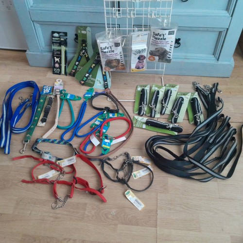 Job lot dog leads - job, collars