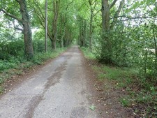Photo A3 Avenue of trees approaching Westup Farm Balcombe  c2011