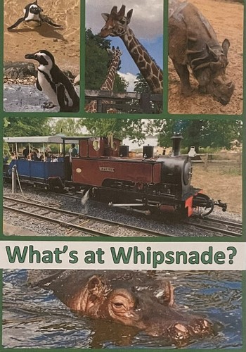 What whipsnade - at,