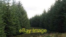 Photo 6x4 ride - photo, north