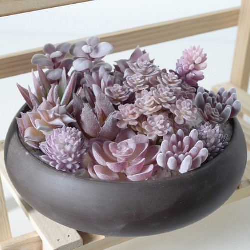 Artificial purple succulent - purple,