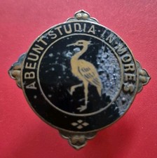 Large Vintage Enamel Badge Nursing?
