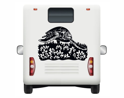 Car stickers sea life turtle - sea,