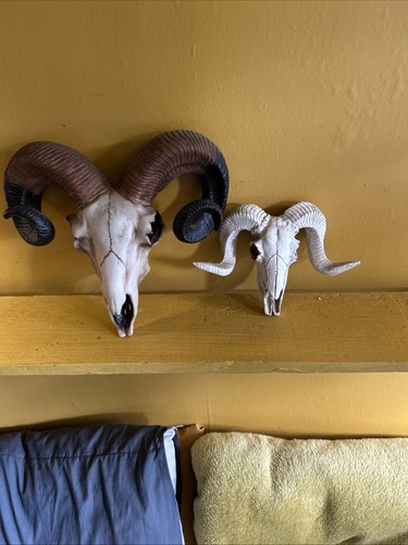 Pair rams head - a, made