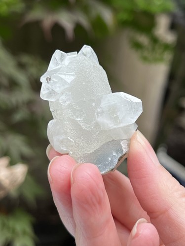 Apophyllite sparkly gemmy - apophyllite,