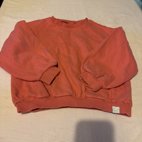 Next sweatshirt girls - next,
