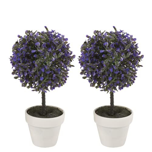 Set medium 27cm - set,