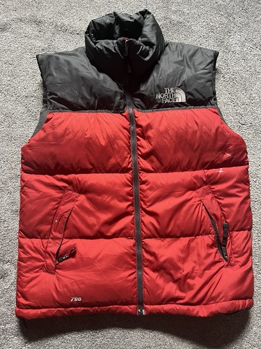 The north face puffer - puffer, gilet
