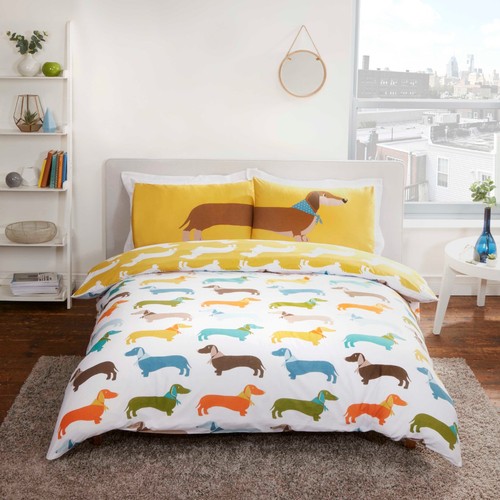 Dachshund sausage dog - dachshund,