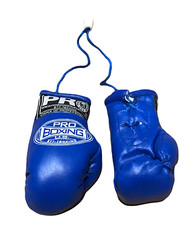 blue Mini Boxing Gloves