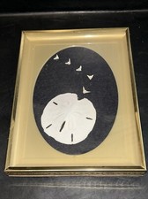 Legend Of The Sand Dollar Shadow box Frame With Real Sand Dollar 6.25”x8.25”