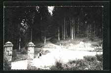 Old postcard Turini, Le carrefour et la foret 
