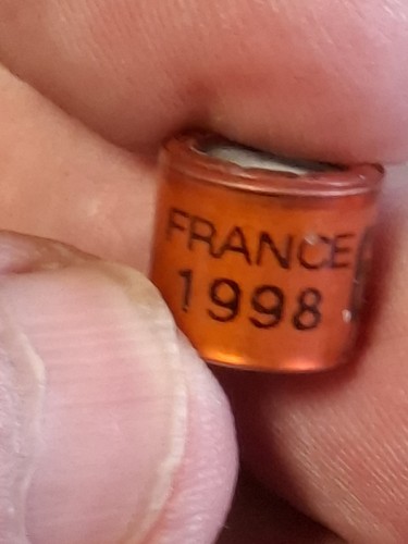 Pigeon ring france 98 - ring,