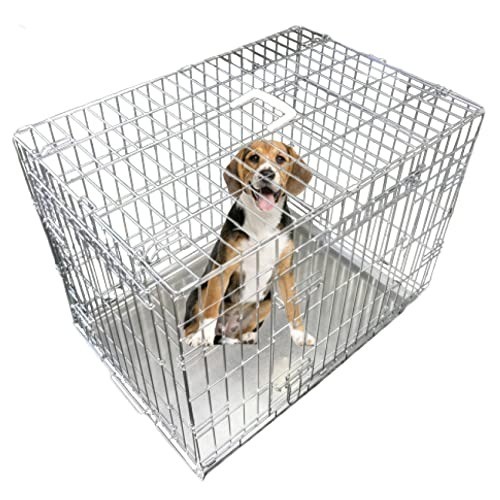 Practical inch silver dog - practical, 36-inch